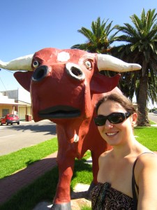 Mallee Bull
