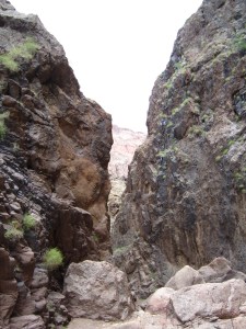 Canyon walls Canyon walls