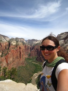 View into Zion Canyon View into Zion Canyon