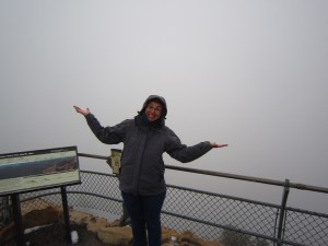 View of the Grand Canyon's North Rim View of the Grand Canyon's North Rim