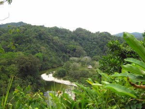 Doesn't this view just make you want to run away to the jungle?