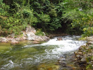This may not look so scary to you, but when you are 2 minutes into your 2 plus hour float down a river in a rubber tube, no one judges you for erring on the side of caution.