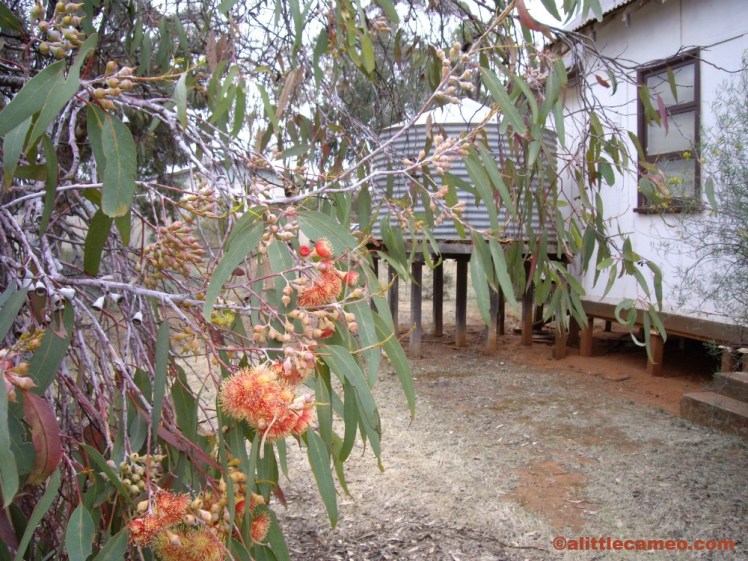 Millewa Pioneer Village