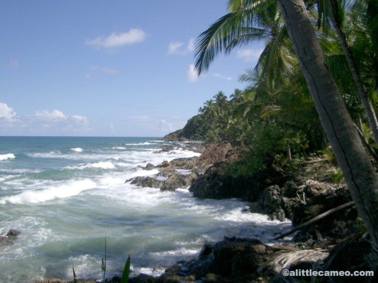 A slice of Brazilian paradise