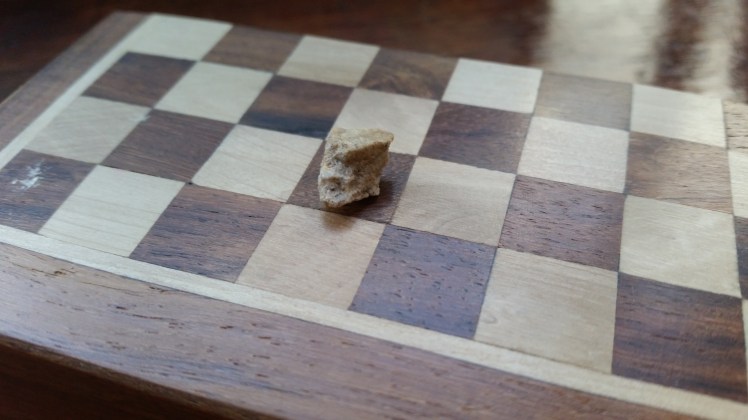 The pebble I tested the stitch theory on